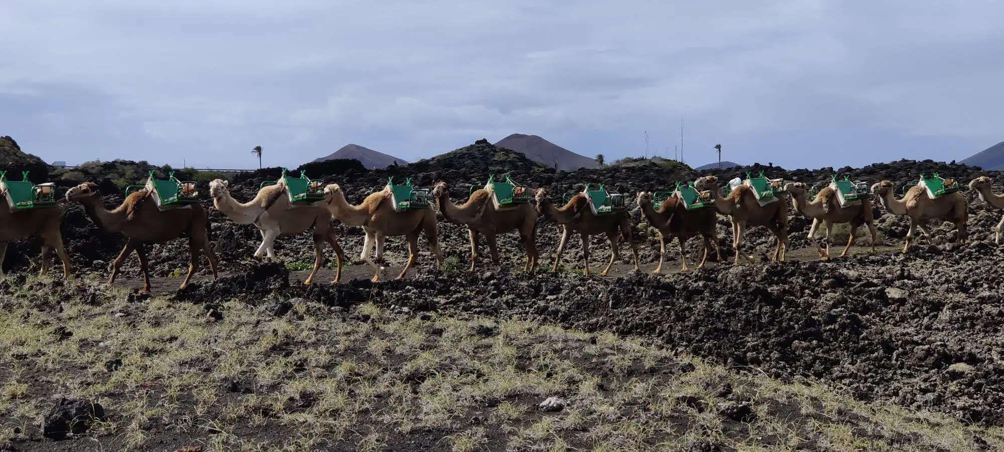 Landschaftsimpression von Lanzarote